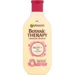 Garnier BOTANIC THERAPY RICINUS OIL SHAMPOO 1×450 мл, шампунь: ціни та характеристики