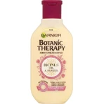 Garnier BOTANIC THERAPY RICINUS OIL SHAMPOO 1×450 мл, шампунь: ціни та характеристики