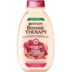 Garnier BOTANIC THERAPY RICINUS OIL SHAMPOO 1×450 мл, шампунь: ціни та характеристики