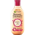 Garnier BOTANIC THERAPY RICINUS OIL SHAMPOO 1×450 мл, шампунь: ціни та характеристики