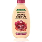 Garnier BOTANIC THERAPY RICINUS OIL SHAMPOO 1×450 мл, шампунь: ціни та характеристики