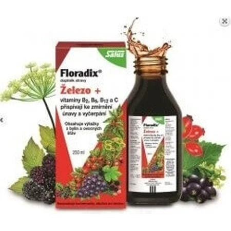 SALUS Floradix Gallexier 1×250 мл, рідка форма: ціни та характеристики