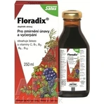 SALUS Floradix Gallexier 1×250 мл, рідка форма: ціни та характеристики