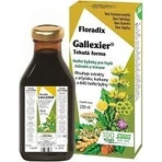 SALUS Floradix Gallexier 1×250 мл, рідка форма: ціни та характеристики
