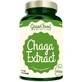 GreenFood Nutrition Экстракт чаги 1×90 капс, пищевая добавка