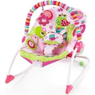 Bright Starts - Вибрирующий PIP Raspberry Garden 1×1, до 18 кг, 0м+