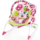 Bright Starts - Вибрирующий PIP Raspberry Garden 1×1, до 18 кг, 0м+
