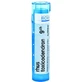 Boiron Rhus Toxicodendron CH9 гранулы 4 г