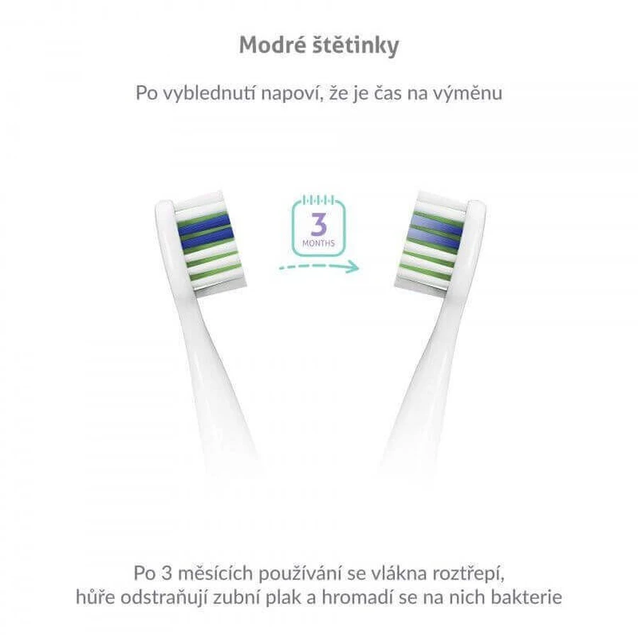 TrueLife SonicBrush Slim20 White: цены и характеристики
