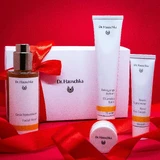 Набір Dr. Hauschka Beautiful Face, відновлюючий тонік, 100 мл + трояндовий денний крем, 30 мл + пінка для вмивання, 75 мл + бальзам для губ на основі соку, 4,5 мл