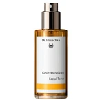 Набор Dr. Hauschka Beautiful Face, восстанавливающий тоник, 100 мл + розовый дневной крем, 30 мл + средство для умывания лица, 75 мл + бальзам для губ в соке, 4,5 мл: цены и характеристики