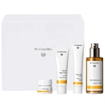 Набор Dr. Hauschka Beautiful Face, восстанавливающий тоник, 100 мл + розовый дневной крем, 30 мл + средство для умывания лица, 75 мл + бальзам для губ в соке, 4,5 мл: цены и характеристики
