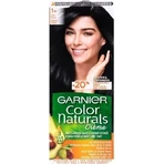 Garnier Color Naturals перманентный цвет волос 1+ Ультра черный 1×1 штука, цвет волос: цены и характеристики