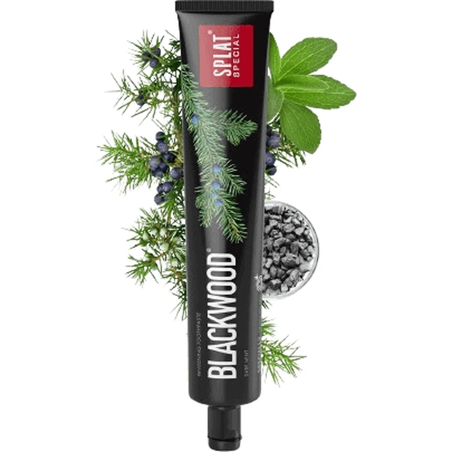 Зубна паста Splat Blackwood 75 мл: ціни та характеристики