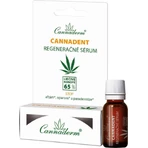 Cannaderm CANNADENT регенерированная сыворотка 1×5 мл, регенерированная сыворотка: цены и характеристики