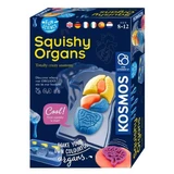 Навчальний набір Stem Organ Organ Squichy, +8 років, Kosmos