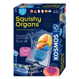 Навчальний набір Stem Organ Organ Squichy, +8 років, Kosmos