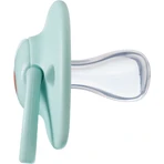 Tommee Tippee Soother CTN Silicone Any Time 0-6м 2 шт.: ціни та характеристики