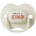 Tommee Tippee Soother CTN Silicone Any Time 0-6м 2 шт.: ціни та характеристики