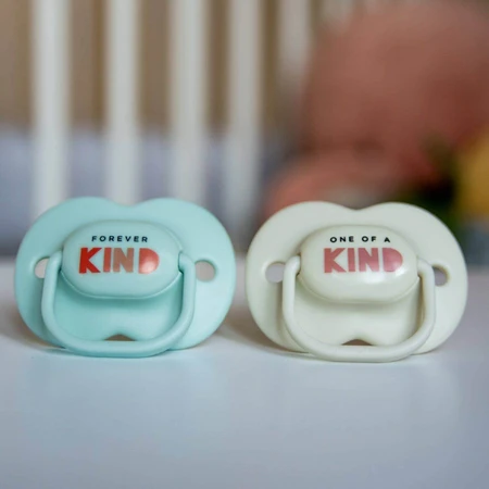 Tommee Tippee Soother CTN Silicone Any Time 0-6м 2 шт.: ціни та характеристики