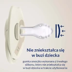 Lovi Prime, пустушка, силіконова, динамічна, кокос/слонова кістка, 34/402, 6-18 місяців, 2 муляжі: ціни та характеристики
