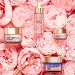 L'Oréal Paris Age Perfect Golden Age, Нічний крем 50 мл: ціни та характеристики