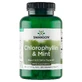 Swanson Chlorophyllin & Mint, Хлорофилл с мит, 500 таблеток для употребления