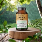 Лактоферрин Simple Day, 60 капсул: цены и характеристики