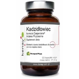 Формула ладана Casperome® Indena Phytosome 60 капс Kenay