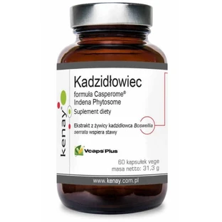 Формула ладану Casperome® Indena Phytosome 60 капс Kenay