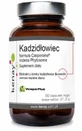 Формула ладану Casperome® Indena Phytosome 60 капс Kenay