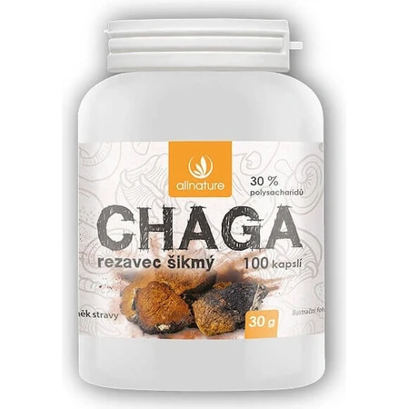 Allnature Chaga 1×100 cps, пищевая добавка: цены и характеристики