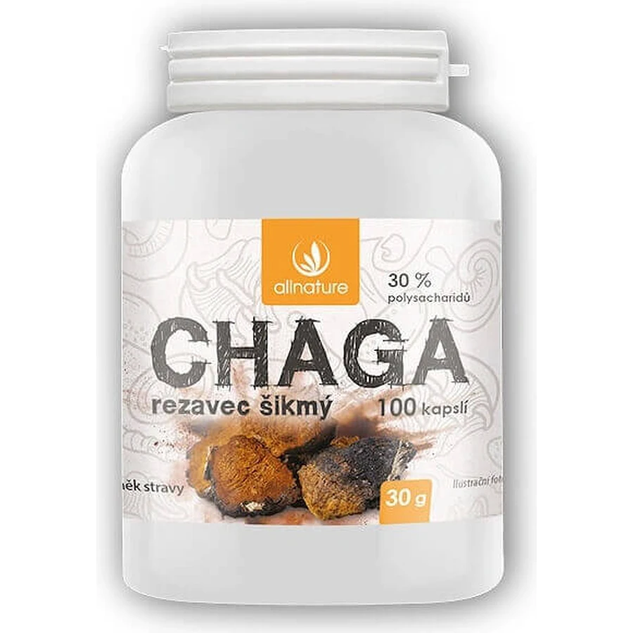 Allnature Chaga 1×100 cps, пищевая добавка: цены и характеристики