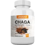 Allnature Chaga 1×100 cps, пищевая добавка: цены и характеристики