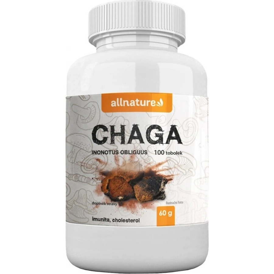 Allnature Chaga 1×100 cps, пищевая добавка: цены и характеристики