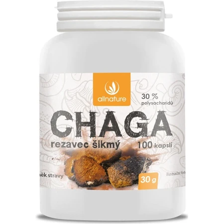 Allnature Chaga 1×100 cps, пищевая добавка: цены и характеристики
