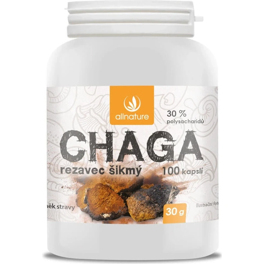 Allnature Chaga 1×100 cps, пищевая добавка: цены и характеристики