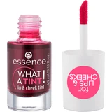 Помада для губ і щік Essence WHAT A TINT! 01 Kiss From A Rose, 4,9 мл
