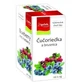 Apotheke Premier Selection также черная смородина и клюква 20 x 2 г