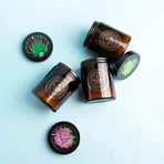 Flagolie Four Seasons, ароматизированный соевый венок, Lime Blossom, 120 г: цены и характеристики