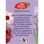 Чай для контроля веса Perfect Silhouette 2 M124 20 пакетиков, Fares: цены и характеристики