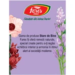 Чай для контроля веса Perfect Silhouette 2 M124 20 пакетиков, Fares: цены и характеристики