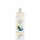 Зволожуючий шампунь Colour Protect, 400 мл, Viorica
