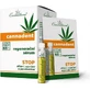 Регенерирующая сыворотка Cannaderm CANNADENT 10×1,5 мл, для лечения афт и простудных язв