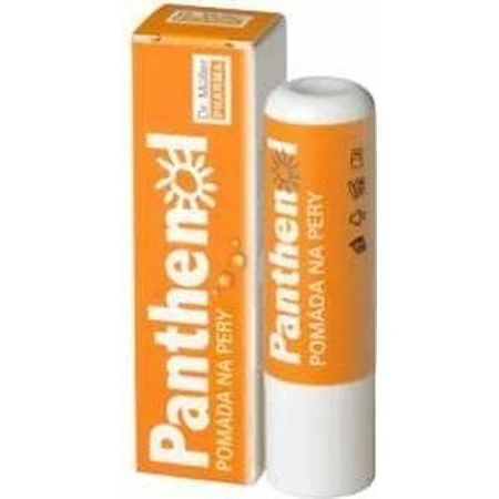 PANTHENOL PERY POMADA 4.4G DR.MULLER 1×1 шт, для сухих губ: цены и характеристики