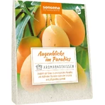 Accentra Sensena Aroma, A Moment in Paradise, Подушка для ванни 60 г: ціни та характеристики