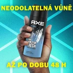 Axe дезодорант-спрей для мужчин Ice Chill Frozen Mint & Lemon 150 мл: цены и характеристики