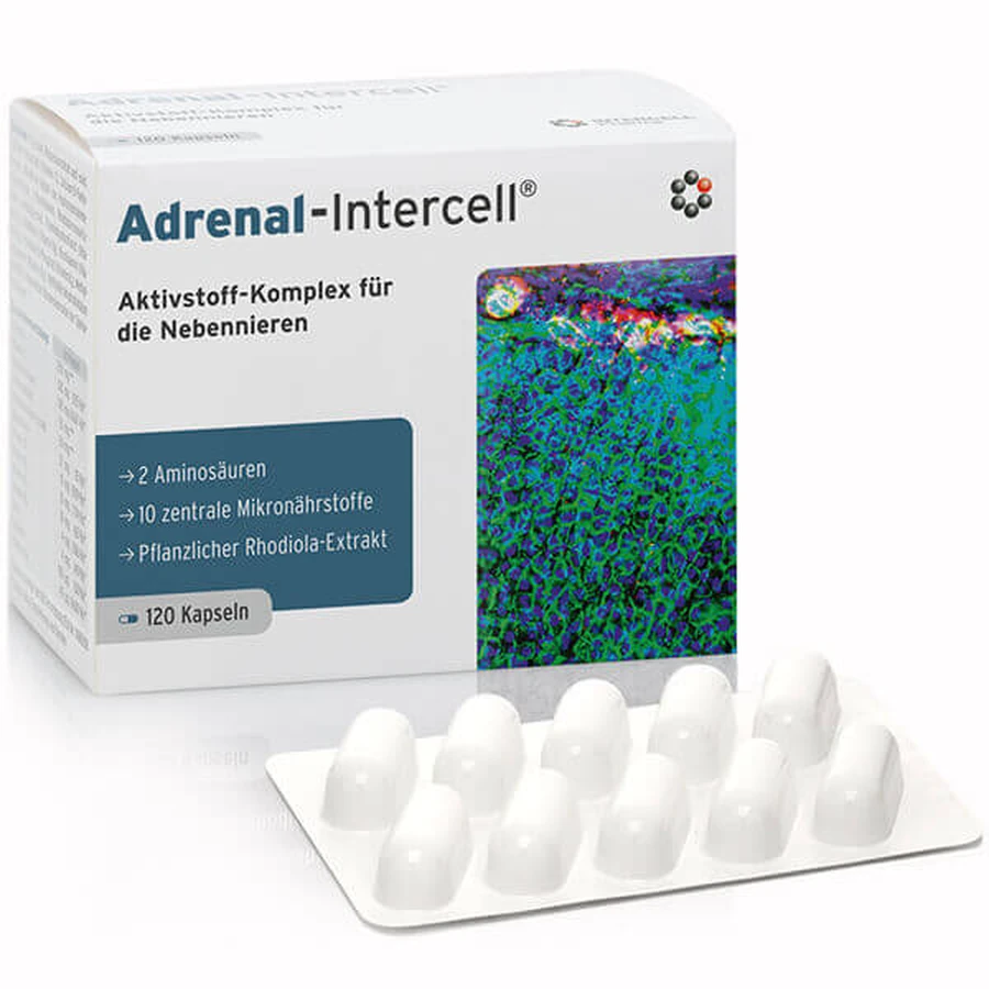 Mito-Pharma Adrenal-Intercell, 120 капсул: цены и характеристики
