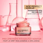 L'Oréal Paris Golged Age Rosy Re-Fortifying Day Cream 50 мл: цены и характеристики