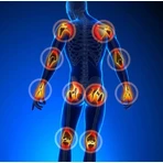 Гель Biomedicus Artro+ Gel Forte, 250 мл: ціни та характеристики